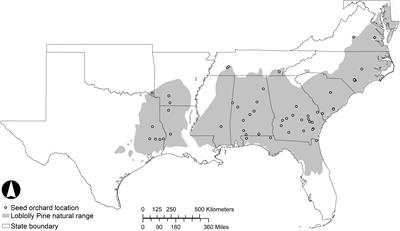 Breeding for Climate Change Resilience: A Case Study of Loblolly Pine (Pinus taeda L.) in North America